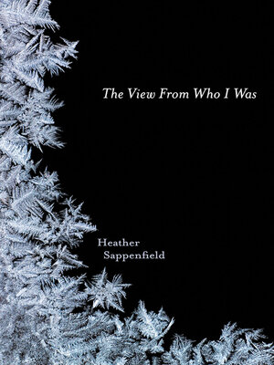 cover image of The View From Who I Was